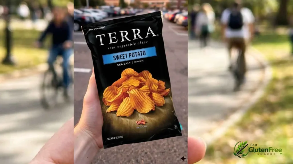 Terra Sweet Potato Chips (Sea Salt)